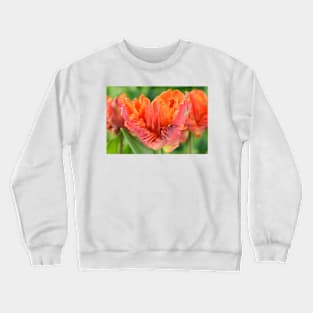 Tulipa  &#39;Monarch Parrot&#39;  Tulip  Parrot Group Crewneck Sweatshirt